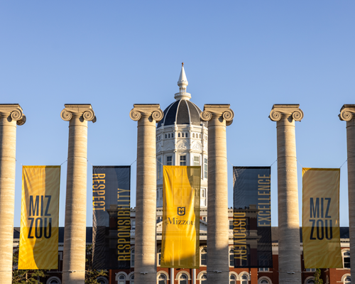 Columns at Mizzou.
